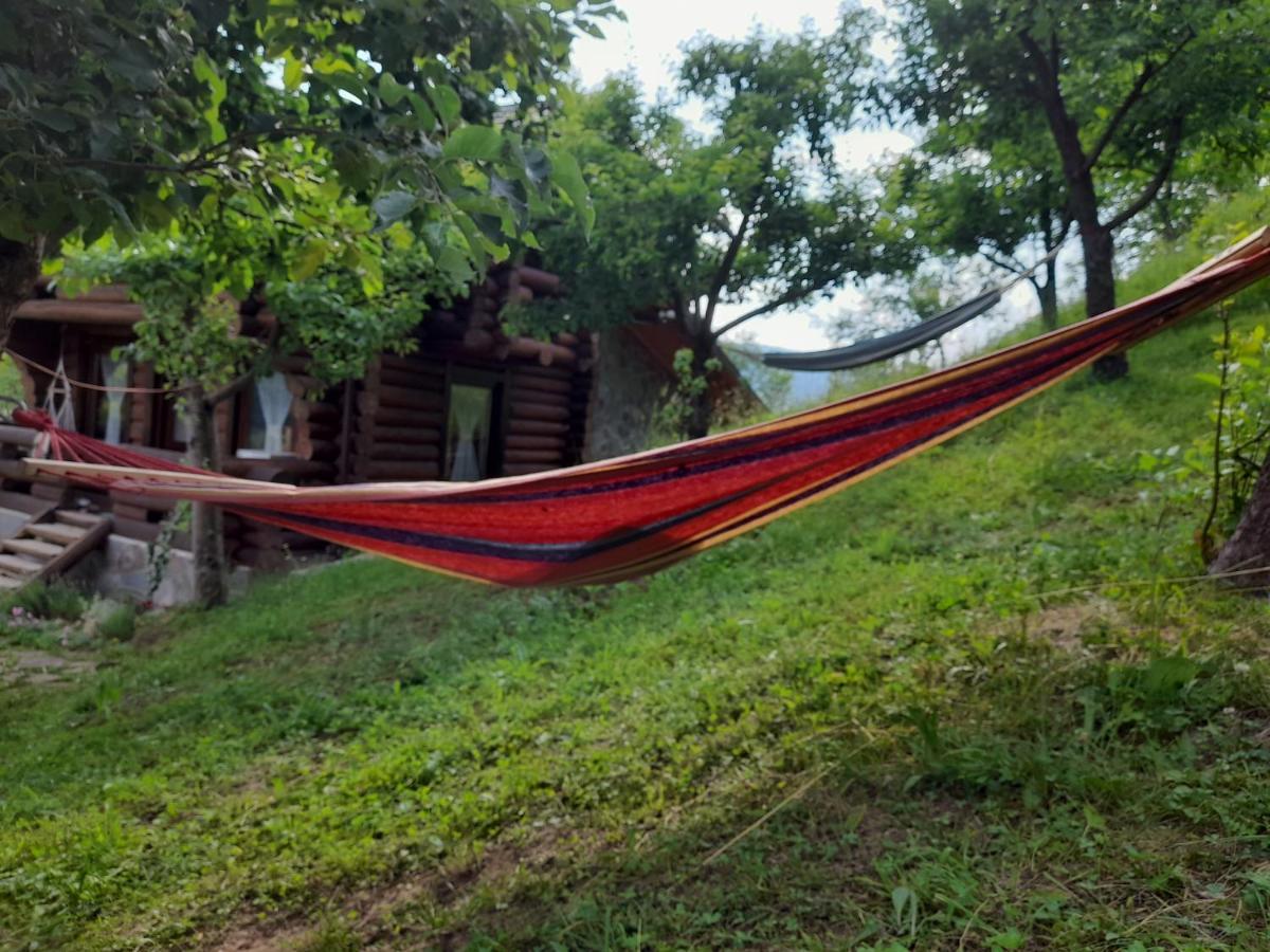 Cabana Din Revier Viseu de Jos Ngoại thất bức ảnh