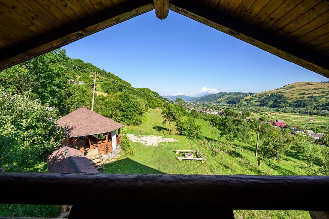 Cabana Din Revier Viseu de Jos Ngoại thất bức ảnh