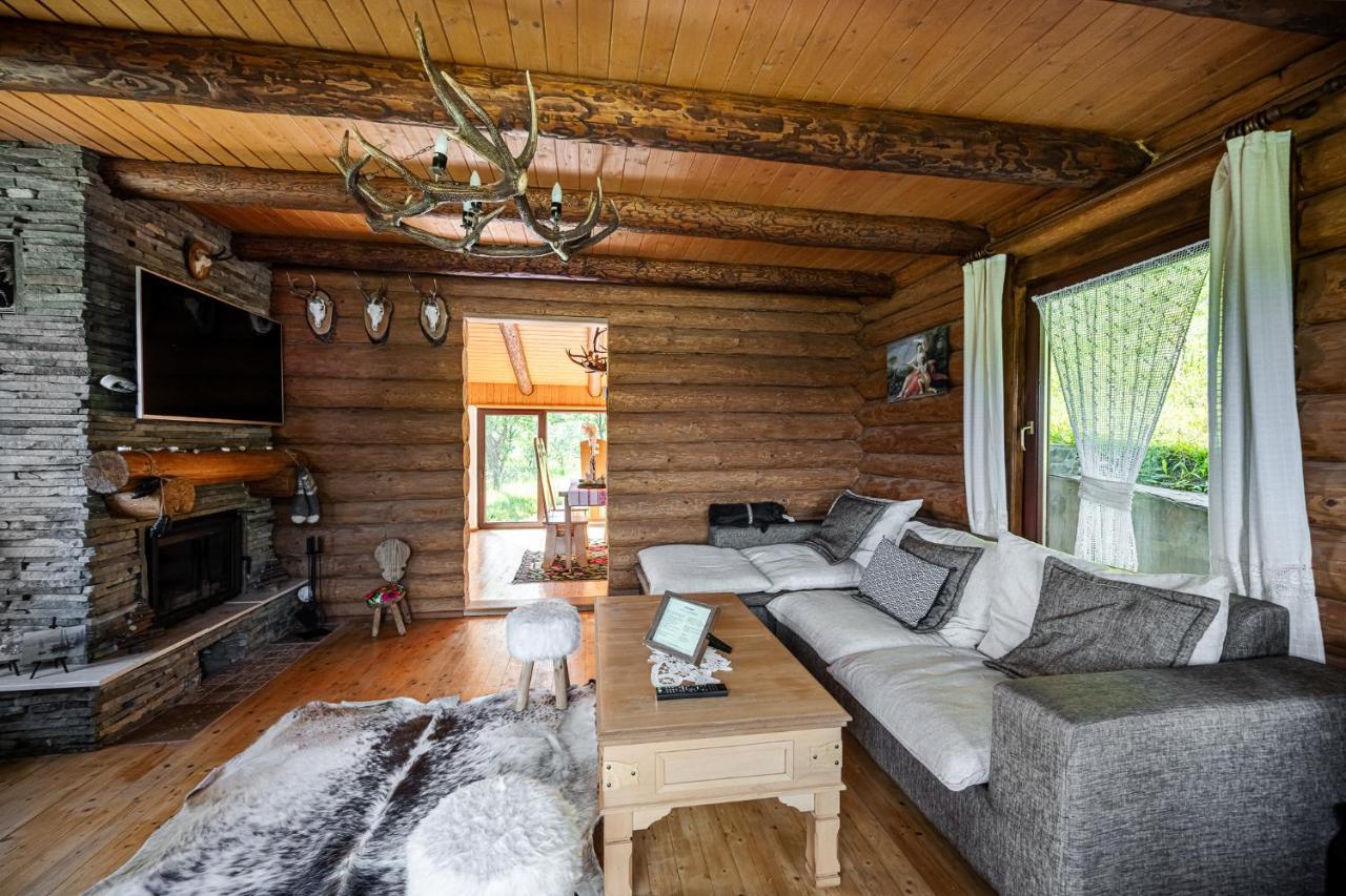 Cabana Din Revier Viseu de Jos Ngoại thất bức ảnh