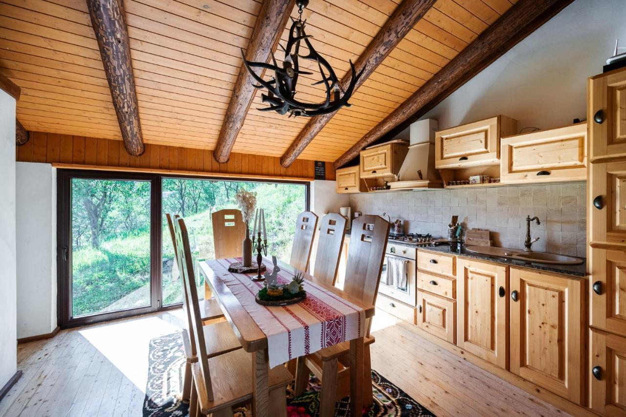 Cabana Din Revier Viseu de Jos Ngoại thất bức ảnh